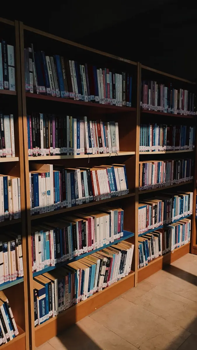 Estantes de biblioteca con libros y luz natural
